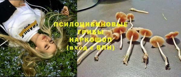 эйфоретик Абаза