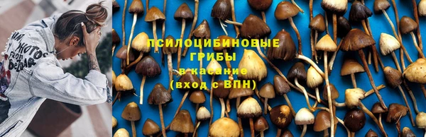 гашик Алексеевка
